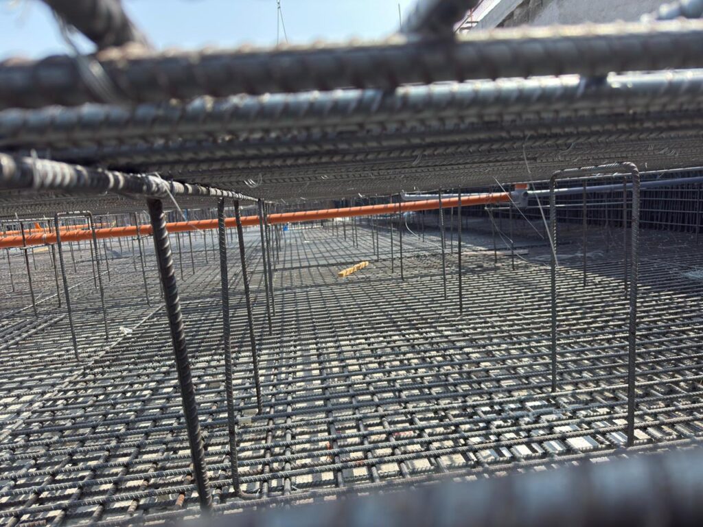 whatsapp image 2025 11 30 at 11.24.56 pm (1)